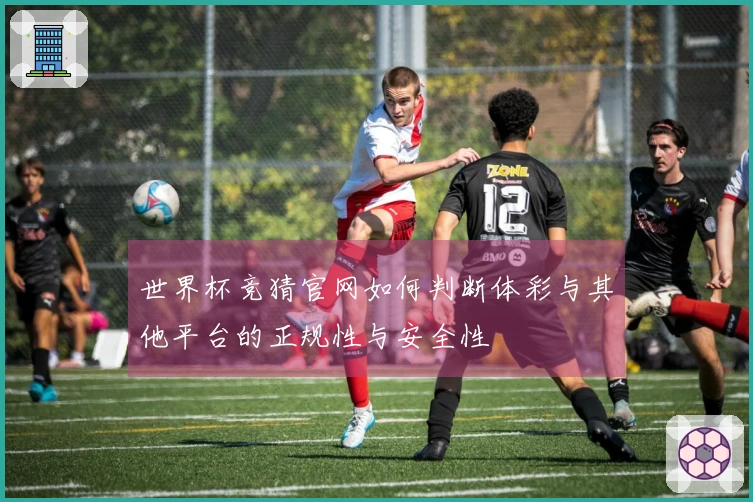 世界杯竞猜官网如何判断体彩与其他平台的正规性与安全性