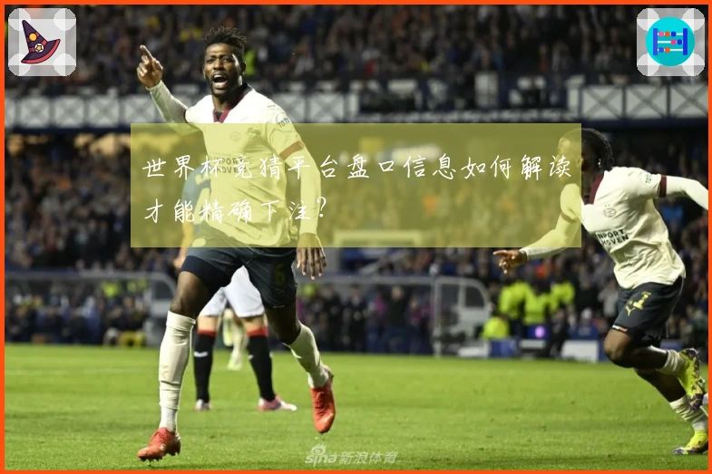 世界杯竞猜平台盘口信息如何解读才能精确下注？