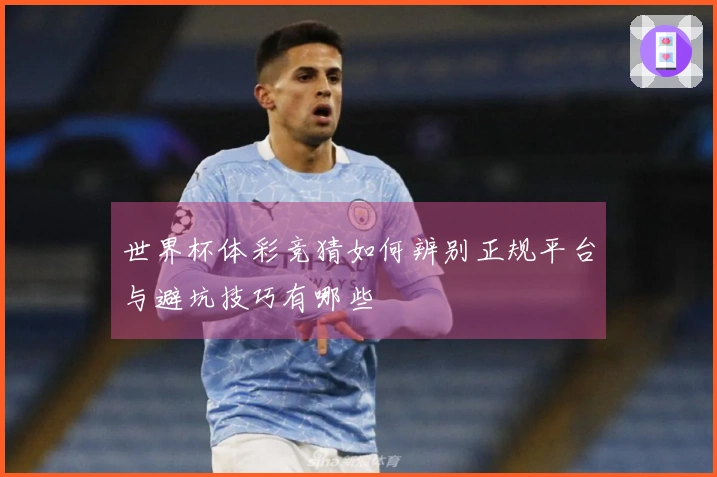 世界杯体彩竞猜如何辨别正规平台与避坑技巧有哪些