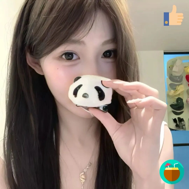 北城旧梦